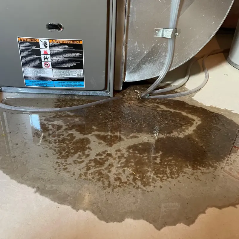 Appliance Leak Cleanup in Varnville, SC